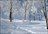 Nagano Powder Zone