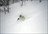 Northern Powder Odyssey