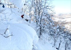 Niseko Cat Skiing Day Tours
