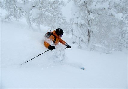Niseko Powder Discovery