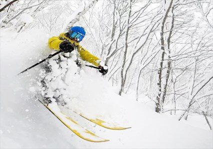 Powder Progression Tour URAYAMA