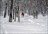 Northern Powder Odyssey