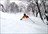 Niseko Powder Discovery