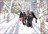 Japan Ski and Culture for Beginners