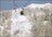 Sky to Sea Powder