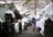 Tenjin Guides Learn To Ski