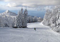 Nagano Beginner Packages