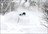 Powder Progression for Skiers