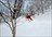 Sky to Sea Powder