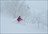 Furano Powder Discovery