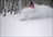 Northern Powder Odyssey