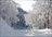 Powder Progression Tour URAYAMA