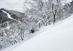 Tohoku Private Guided Tour