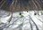 Powder Progression Tour URAYAMA