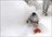 Niseko Powder Discovery