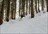 Tohoku Outback Powder Expedition