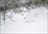 Sky to Sea Powder